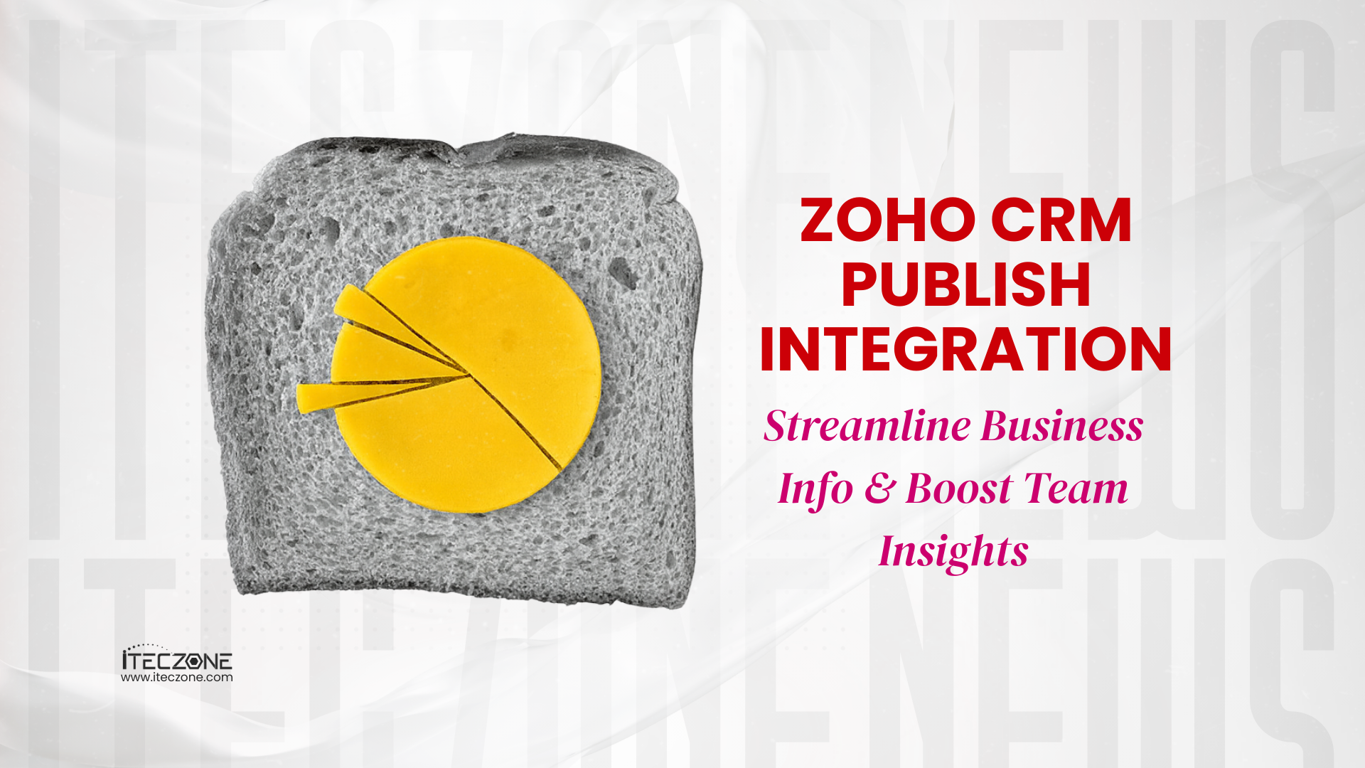 Zoho CRM Publish Integration